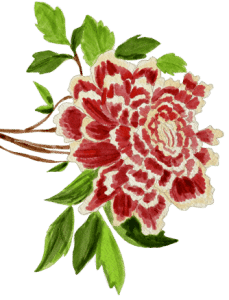 red flower illustration