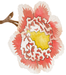 orange flower illustration