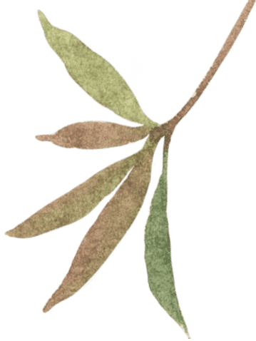 leafy branch