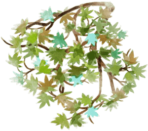 multi-coloured leaves