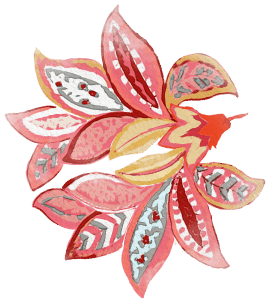 flowers illustration