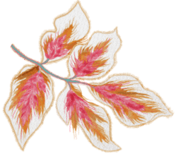 red flower illustration