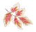 flower illustration