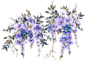 bunch of flowers