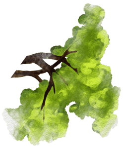tree illustration