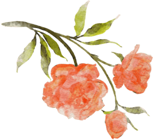 Orange flower illustration