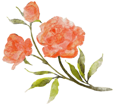 flower illustration