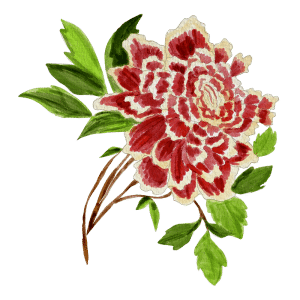 Flower illustration
