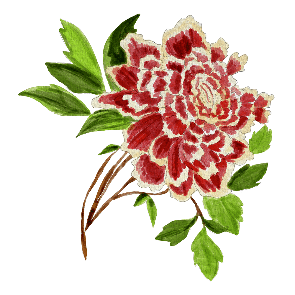 Flower illustration