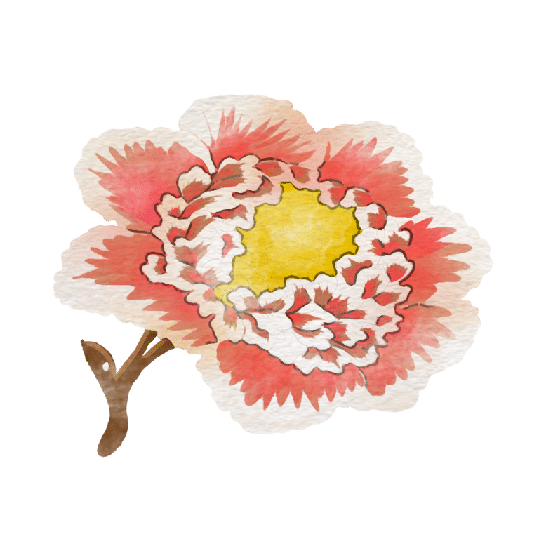 flower illustration