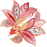 Pink flower illustration