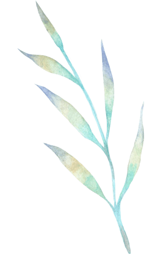 leafy branch illustration