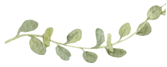branch of leaves