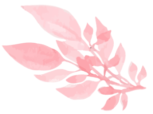pink flowers