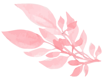 pink flowers