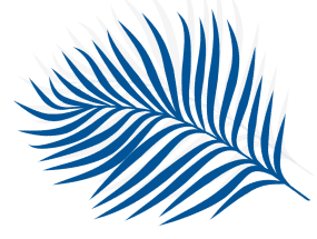blue fern illustration