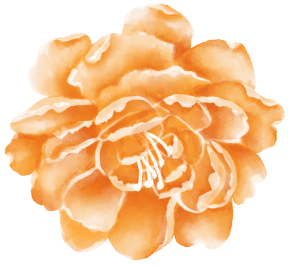 orange flower