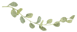 branch of leaves