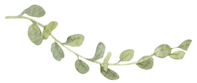 branch of leaves