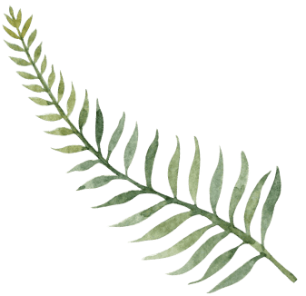 Fern leaf