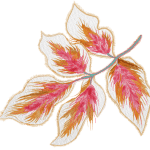 flower illustration
