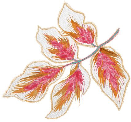 flower illustration