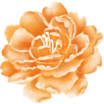 flower illustration
