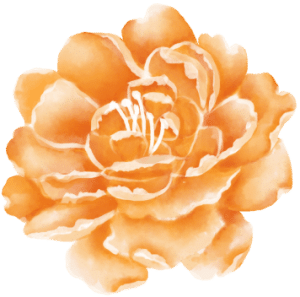 flower illustration