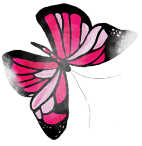 butterfly illustration