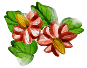 red flowers