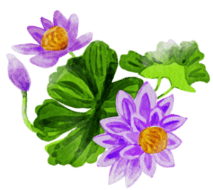 purple flowers