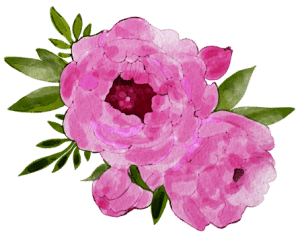pink flowers