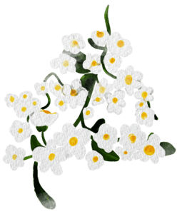 white flowers