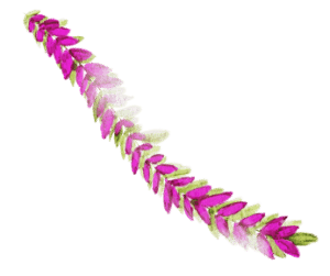 branch of pink and green leaves